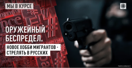 Царьград Право на оружие Ванеев